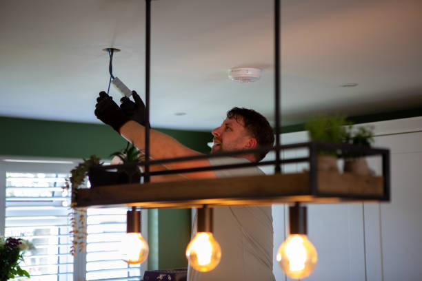 Best Electrical Upgrades for Homes  in Pottsville, AR